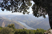 View of the douro valley