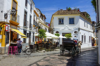 Restaurant patio cordoba