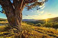 Mountain view andalucia