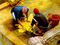 Fes tannery morocco