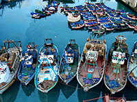Fishing boats casablanca